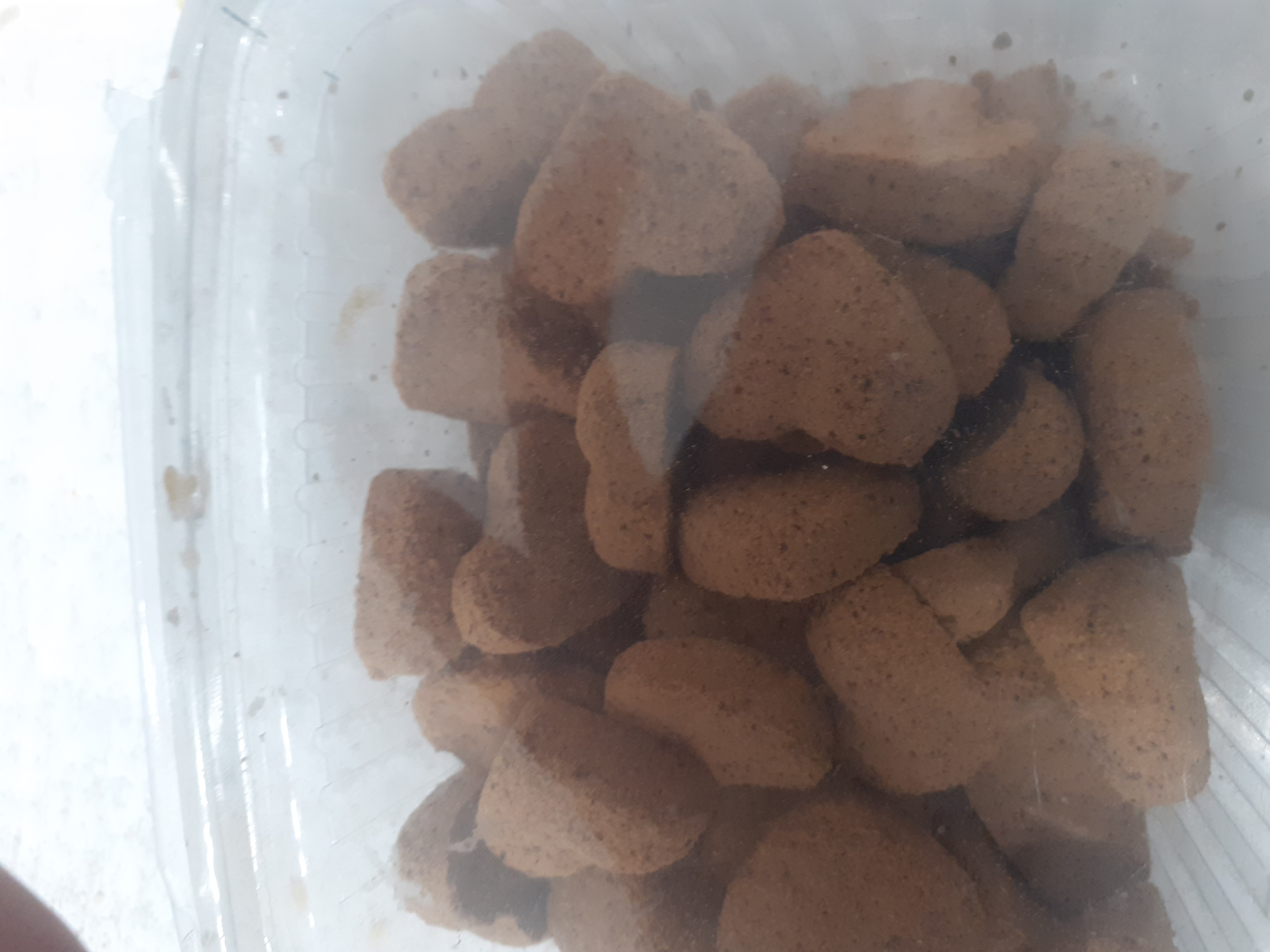 حبه سنجد درجه یک